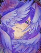 Robin HSR Robin HSR